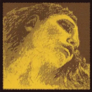 Pirastro Evah Gold Viola Strings - 4/4 / Medium / Set